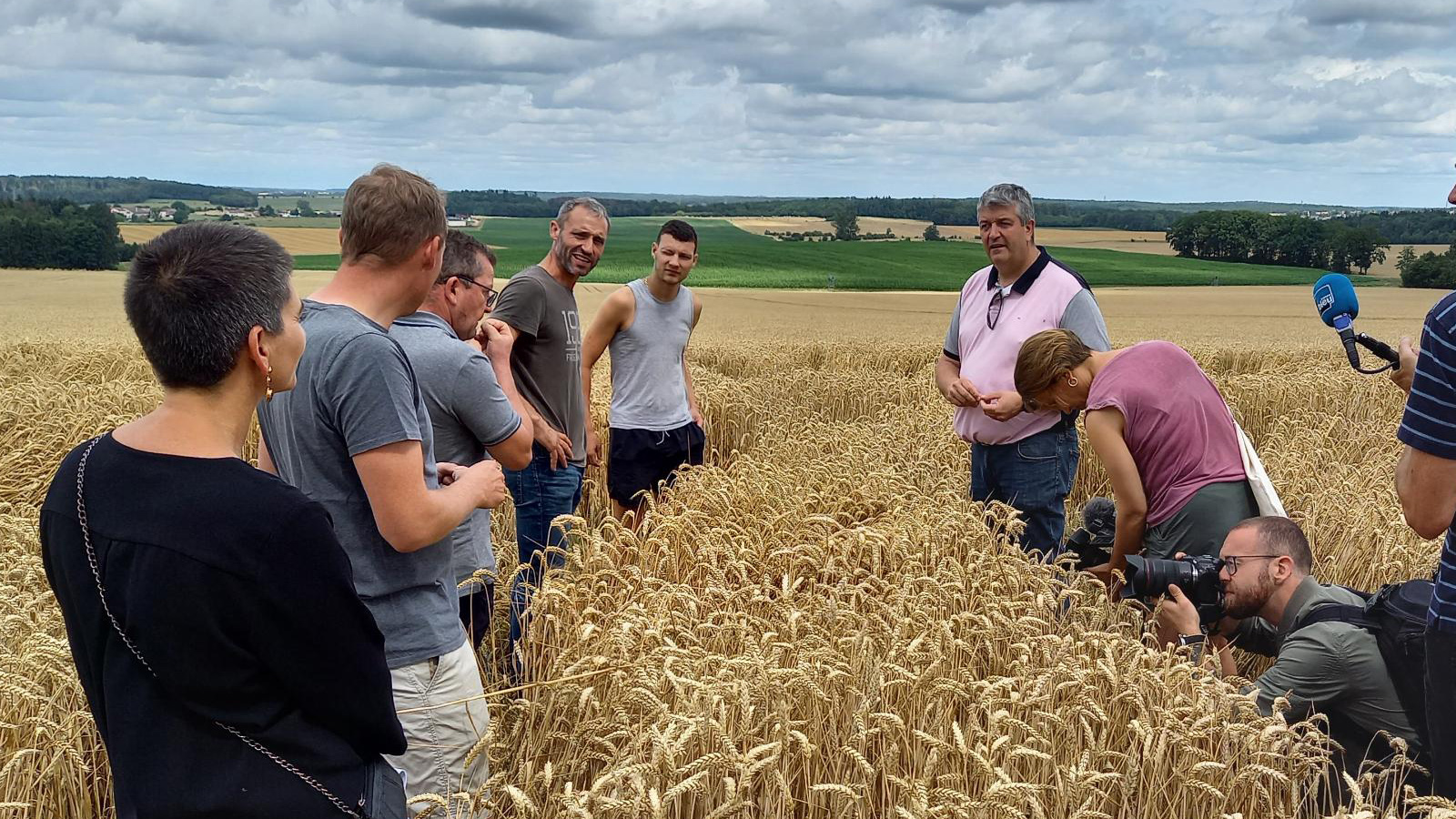 Agriculture : Premier bilan pour la moisson dans les Vosges
