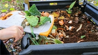 3 bonnes raisons de faire son compost