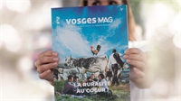 Vosges Mag arrive dans vos boîtes aux lettres !