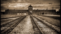 Libération d'Auschwitz : témoignages de survivants