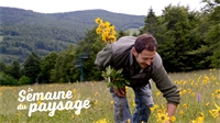 La Com Com des Hautes Vosges veut mettre en lumière son environnement
