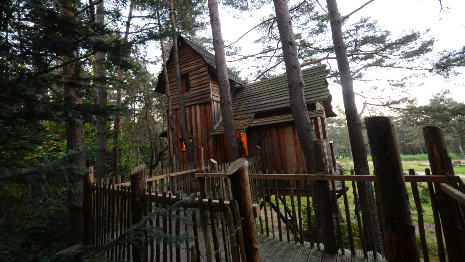 L'une des cabanes cosy dans les arbres de Nids des Vosges à Champdray.