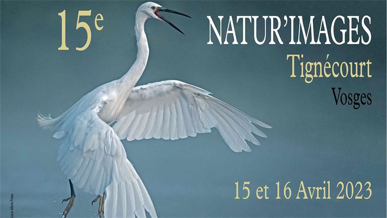 Le festival Natur'Images fête ses 15 ans
