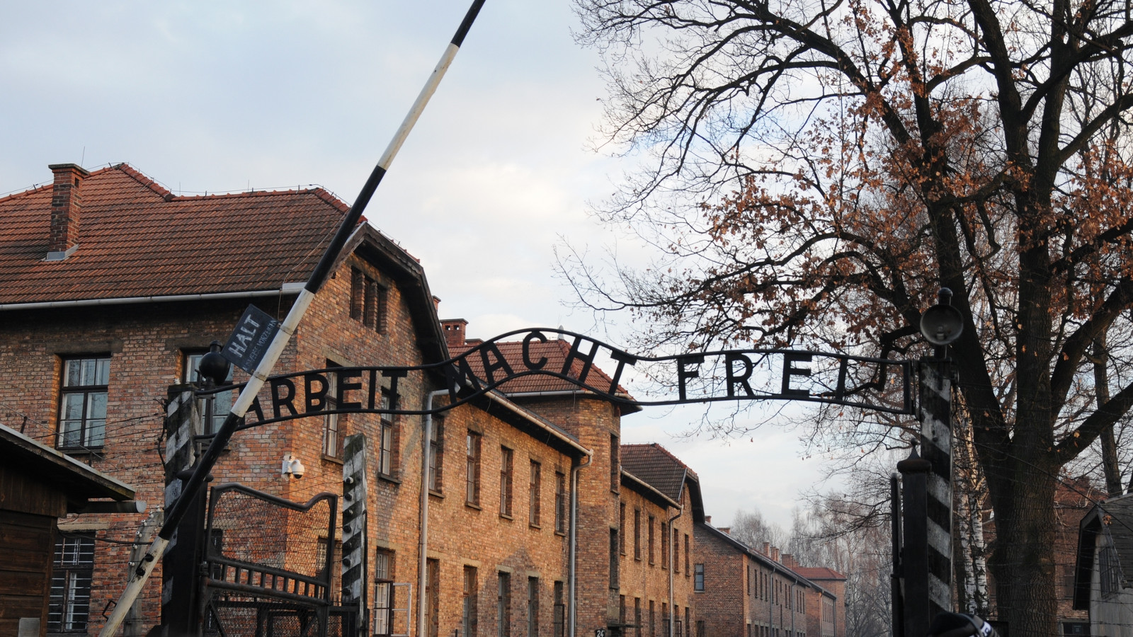 Auschwitzredim