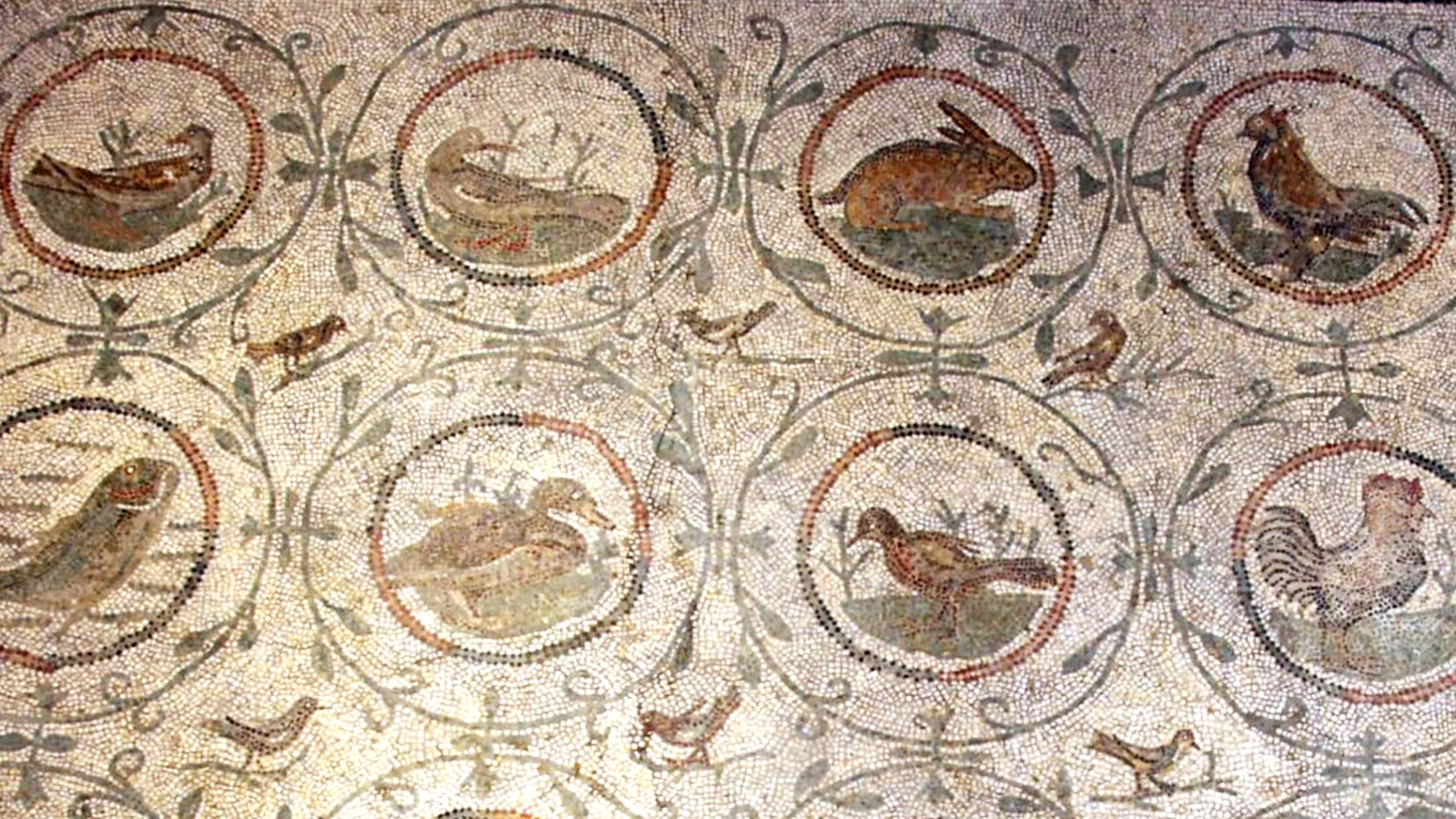 Une mosaïque carthaginoise à voir à Epinal