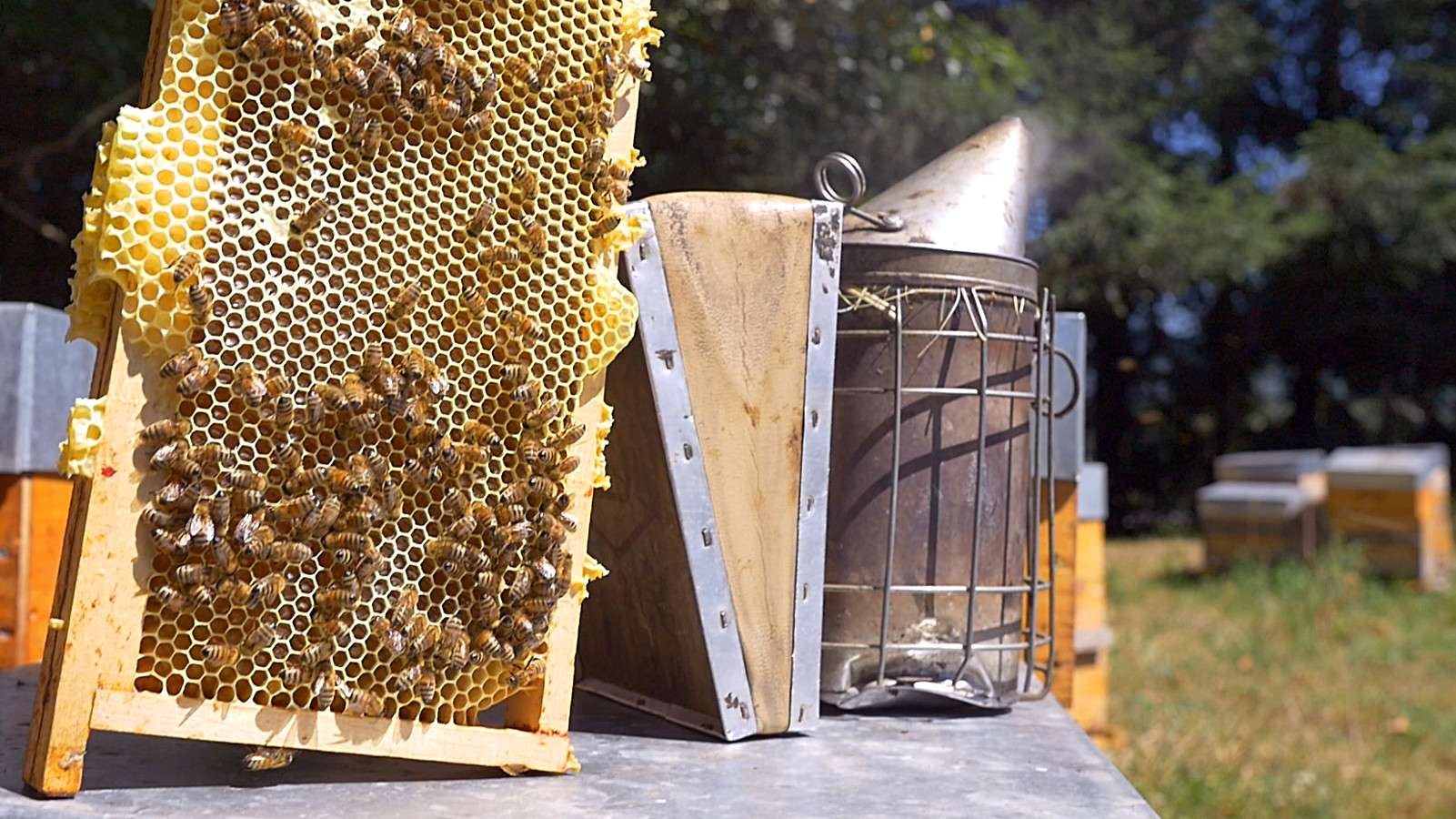 Un concours pour valoriser les miels de Lorraine