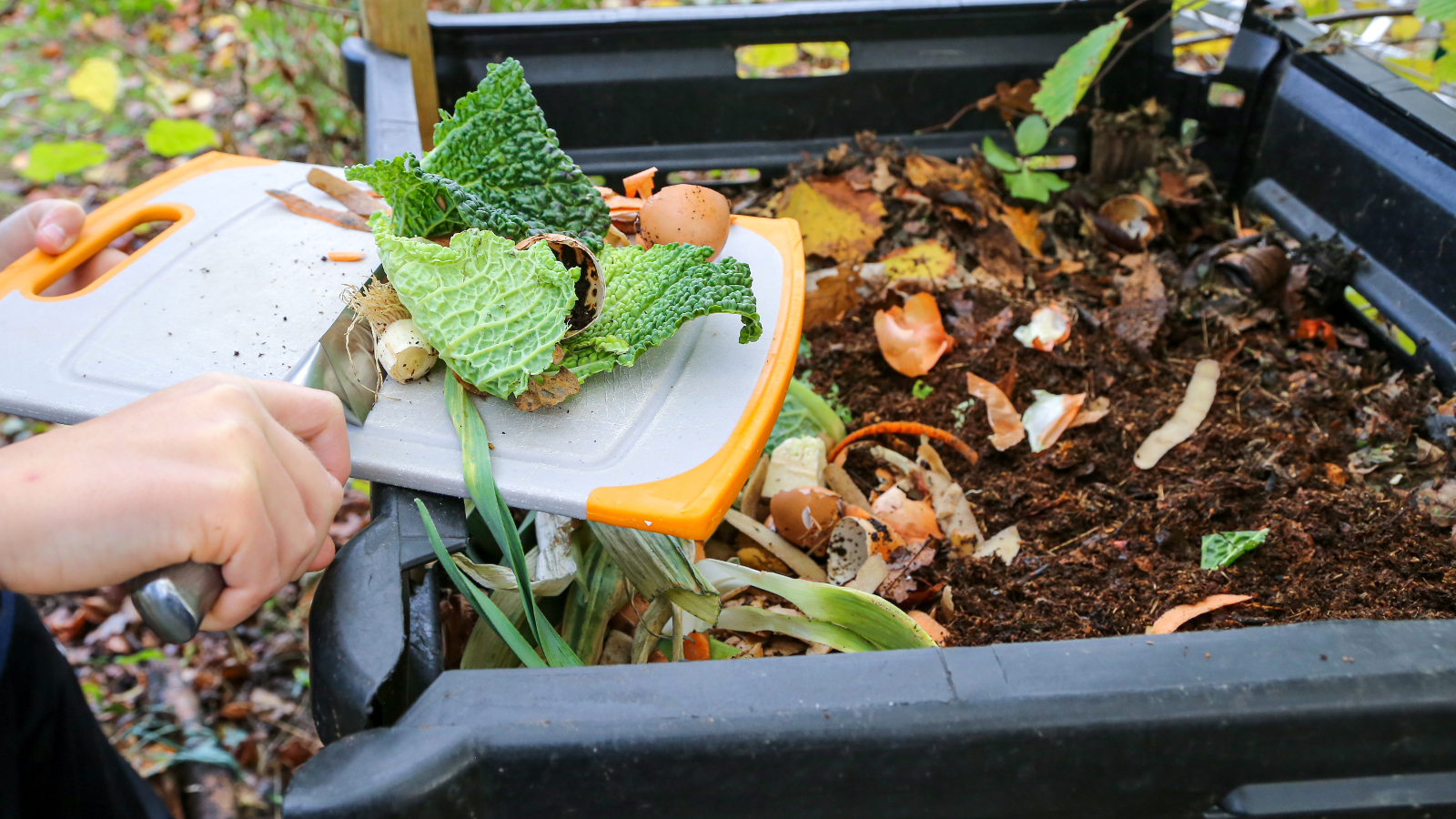 3 bonnes raisons de faire son compost