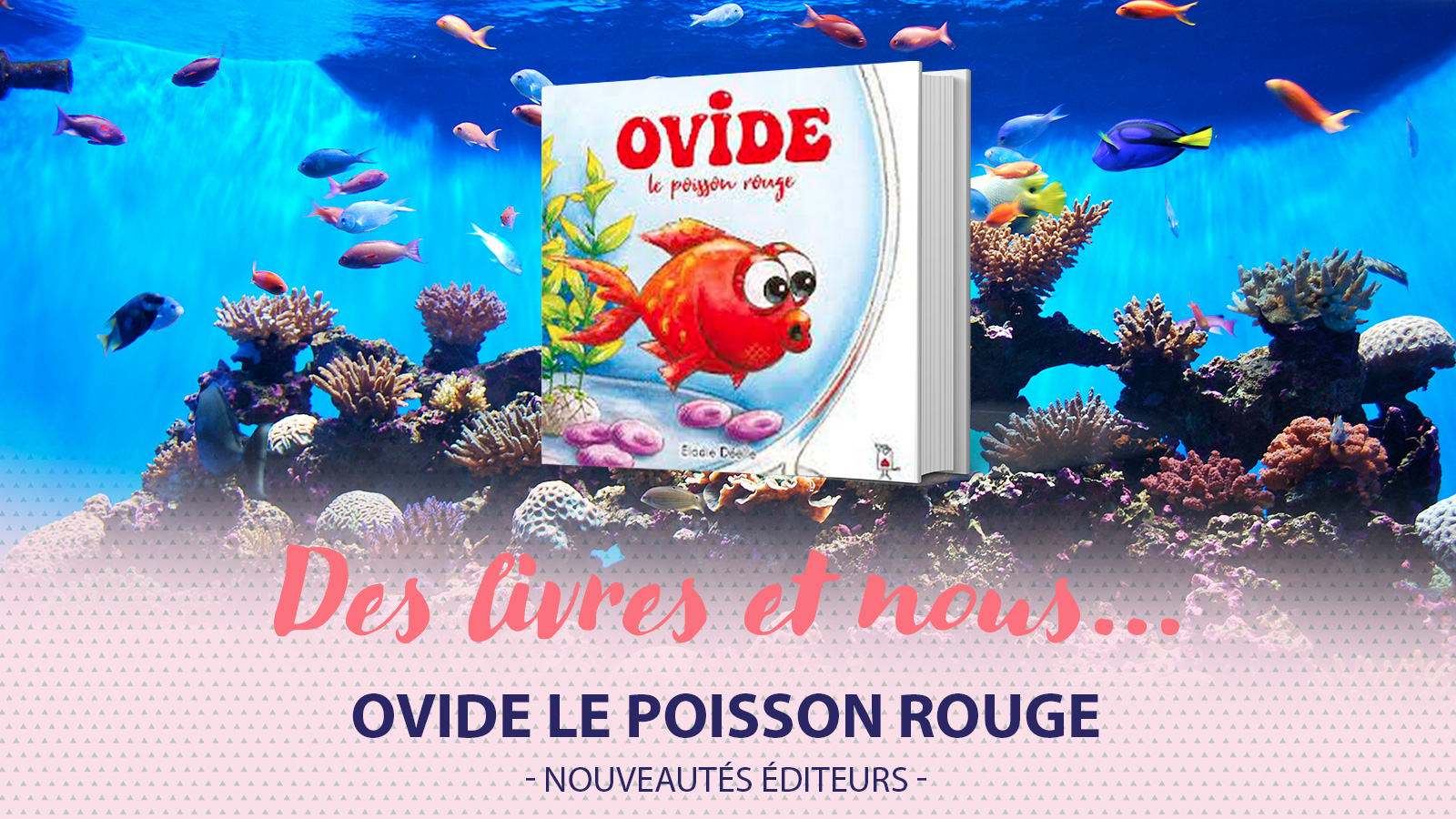 "Ovide, le poisson rouge", nouvelle oeuvre d'Elodie Déelle